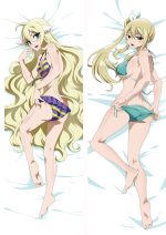 2019-February update Japan Anime FAIRY TAIL Lucy Heartfilia Erza Scarlet Hugging Body Pillow Cover Dakimakura Body Pillow Case 6