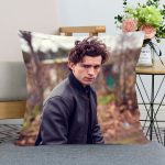 New Arrival Tom Holland Pillow Case For Home Decorative Pillows Cover Invisible Zippered Throw PillowCases 40X40,45X45cm 5