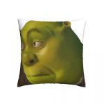Shrek Meme Square Pillowcase Cushion Cover funny Home Decorative Sofa Nordic 45*45cm 2