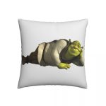 Come Into My Swamp Shrek Square Pillowcase Cushion Cover cute Zip Home Decorative Polyester Pillow Case for Room Simple 45*45cm 2