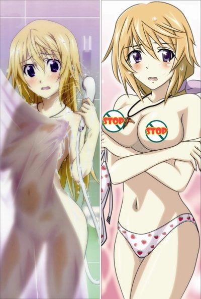 1627121064 IS037 Infinite Stratos Charlotte Dunois 2